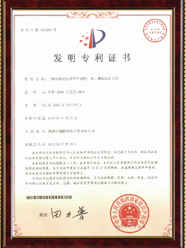 PATENT 