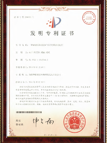 PATENT 